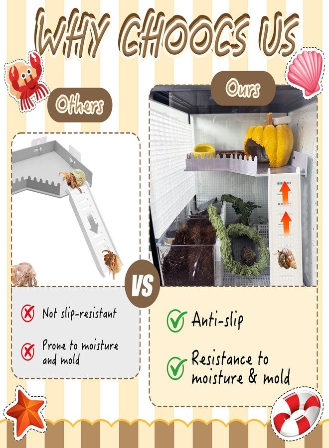 Niuohoy Hermit Crab L-Shaped Platform with Ladder Hermit Crab Climbing Toys, Habitat Tank Accessories, Reptile & Hamster Activity Platform - Image 5
